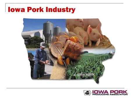 Iowa Pork Industry. Iowa Pork Facts Iowa #1 pork producing state in U.S. Around 30 million hogs are raised annually Approximately 1/3 of total U.S. production.