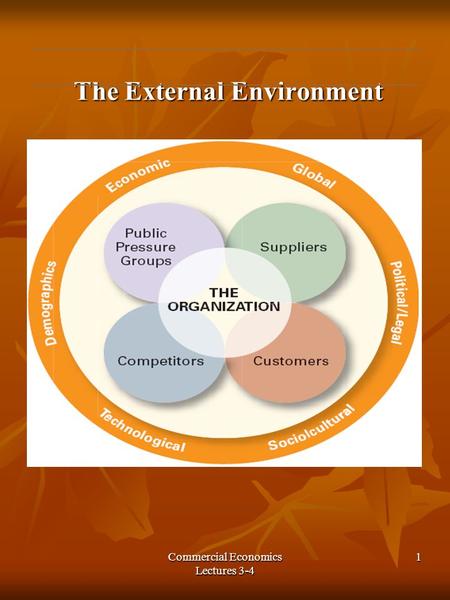 Commercial Economics Lectures 3-4 1 The External Environment The External Environment.