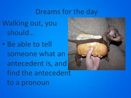 Dreams for the day Walking out, you should… Be able to tell someone what an antecedent is, and find the antecedent to a pronoun.