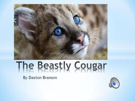 By Daxton Branson * Cougars live in semi arid areas. * Subtropical areas. * And tropical forests.