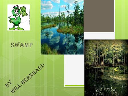 Swamp By Will Bernhard. Swamp definition  SWAMP  Warm, wet, areas that are teeming with animal and plant life.
