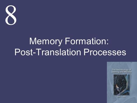 8 Memory Formation: Post-Translation Processes. The goal of this chapter and several that follow is to determine if some of the processes that have been.