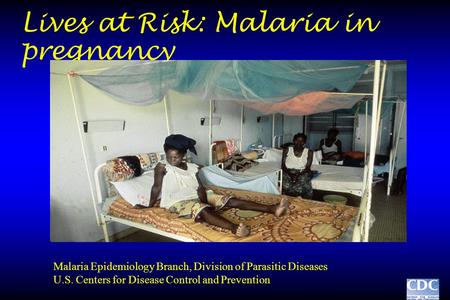 Lives at Risk: Malaria in pregnancy