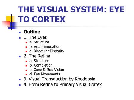 THE VISUAL SYSTEM: EYE TO CORTEX Outline 1. The Eyes a. Structure b. Accommodation c. Binocular Disparity 2. The Retina a. Structure b. Completion c. Cone.