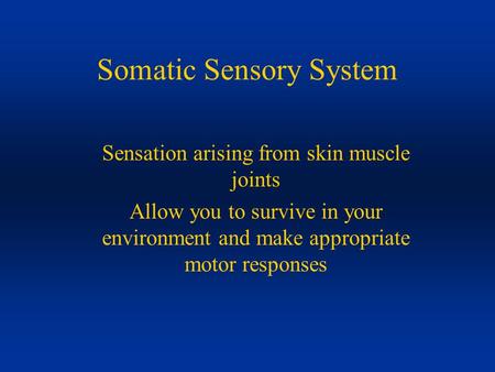 Somatic Sensory System Sensation arising from skin muscle joints Allow you to survive in your environment and make appropriate motor responses.