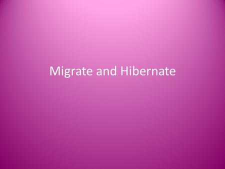 Migrate and Hibernate. Animals find ways to stay warm in the winter.