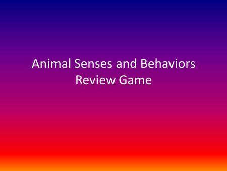 Animal Senses and Behaviors Review Game. Which sensory organ allows most animals to see their prey? eyes.