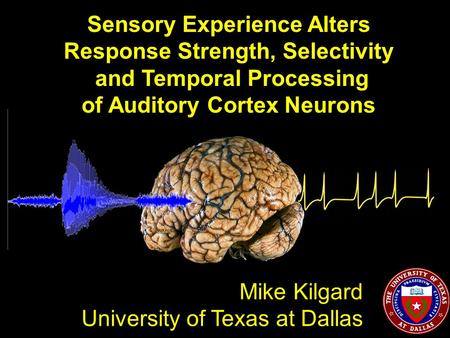 Sensory Experience Alters Response Strength, Selectivity and Temporal Processing of Auditory Cortex Neurons Mike Kilgard University of Texas at Dallas.