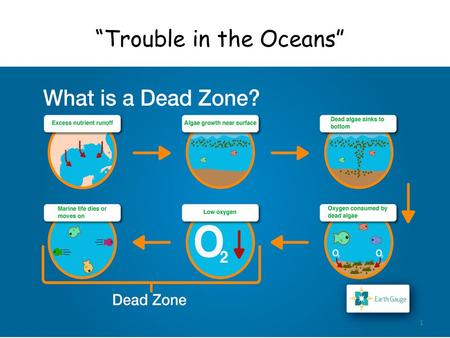 “Trouble in the Oceans” 1. 2 1.) In paragraph 1, what is the effect of lack of oxygen on the animals that live on the sea floor? A dead zone is an area.