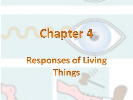 Responses of Living Things