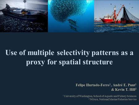 Use of multiple selectivity patterns as a proxy for spatial structure Felipe Hurtado-Ferro 1, André E. Punt 1 & Kevin T. Hill 2 1 University of Washington,