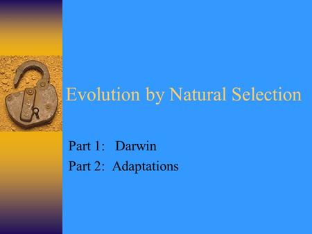 Evolution by Natural Selection Part 1: Darwin Part 2: Adaptations.