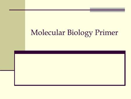 Molecular Biology Primer. Starting 19 th century… Cellular biology: Cell as a fundamental building block 1850s+: ``DNA’’ was discovered by Friedrich Miescher.