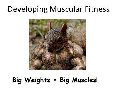 Developing Muscular Fitness