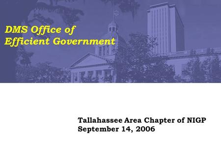 Tallahassee Area Chapter of NIGP September 14, 2006 DMS Office of Efficient Government.