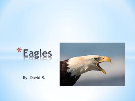 By: David R.. Eagles look cool. They have strong talons. They weigh 4 to 15 pounds. Eagles have brown black and white feathers. An eagle has a curved.