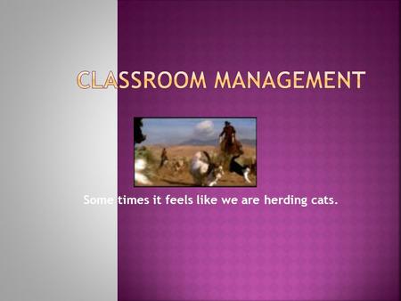 Some times it feels like we are herding cats..  We differentiate between effective and ineffective learning environment and engagement strategies.