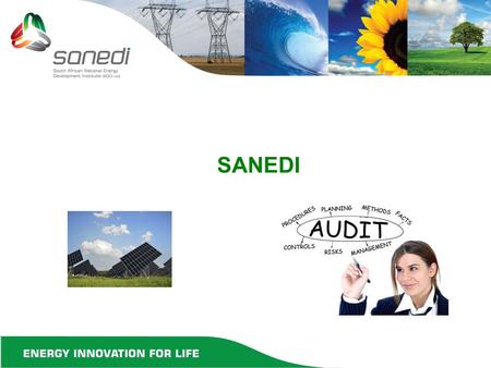 SANEDI. INDEX  KEY ACTIVITIES DURING FINANCIAL YEAR  DISCUSSIONS ON KEY ACTIVITIES  CONCLUSION  APPRECIATION.