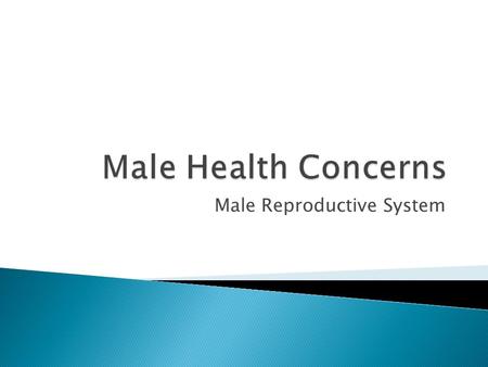 Male Reproductive System.  What type of Dr. specializes in the Male reproductive system?  Urologist.