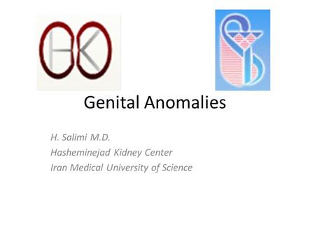 Genital Anomalies H. Salimi M.D. Hasheminejad Kidney Center