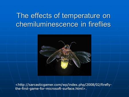 The effects of temperature on chemiluminescence in fireflies.