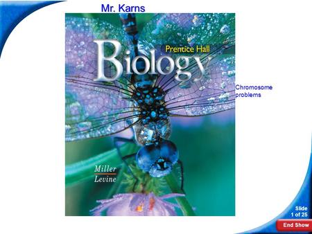 End Show Slide 1 of 25 Biology Mr. Karns Chromosomeproblems.