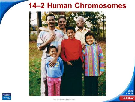 End Show Slide 1 of 25 Copyright Pearson Prentice Hall 14–2 Human Chromosomes 14-2 Human Chromosomes.