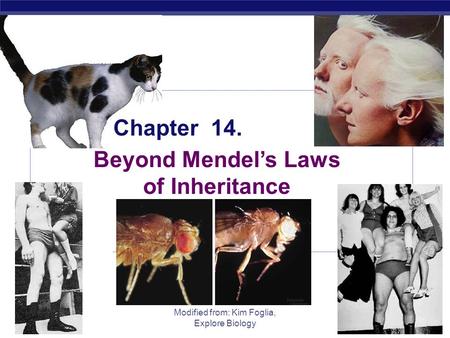 AP Biology 2005-2006 Modified from: Kim Foglia, Explore Biology Chapter 14. Beyond Mendel’s Laws of Inheritance.