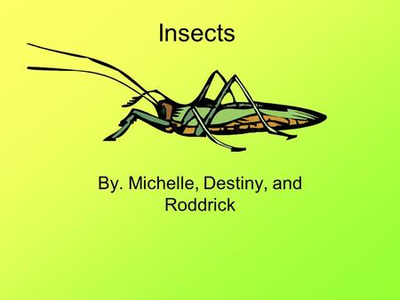 Insects By. Michelle, Destiny, and Roddrick. Customers Protein seekers People who enjoy eating bugs Little kids.
