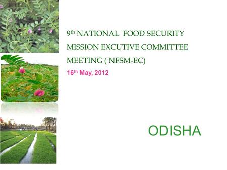 9 th NATIONAL FOOD SECURITY MISSION EXCUTIVE COMMITTEE MEETING ( NFSM-EC) 16 th May, 2012 ODISHA.