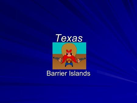 Texas Barrier Islands.