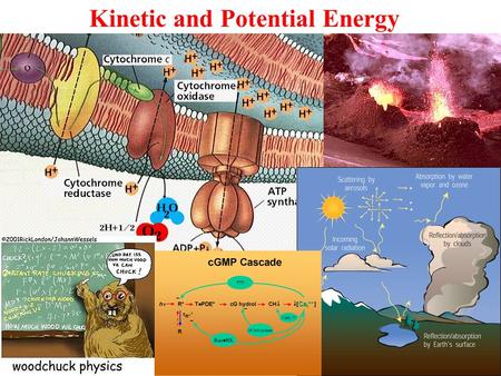 Kinetic and Potential Energy. Potential Energy An object can have potential energy by virtue of its surroundings. Familiar examples of potential energy: