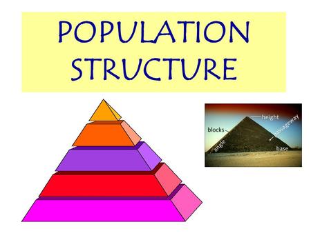 POPULATION STRUCTURE OBJECTIVES At the end of this lesson you should be able to… Interpret population pyramids for MDCs and LDCs Calculate dependency.
