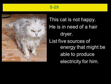 S-29 This cat is not happy. He is in need of a hair dryer. List five sources of energy that might be able to produce electricity for him.