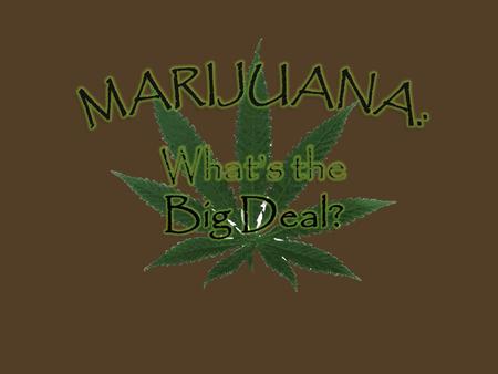 Marijuana? Pot Grass Reefer Weed Herb Mary Jane MJ.