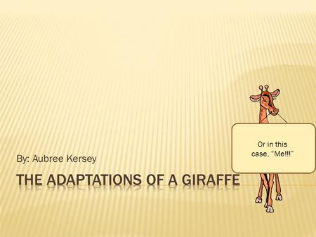By: Aubree Kersey Or in this case, “Me!!!”. Giraffes are the tallest land animals. A giraffe could look into a second-story window without even having.