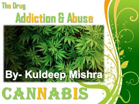 Cannabis Addiction & Abuse By- Kuldeep Mishra The Drug