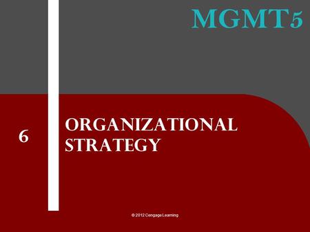 Organizational Strategy