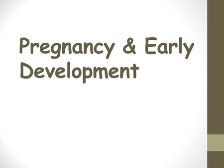 Pregnancy & Early Development How does life begin? Fertilization or conception Joining of the sperm and egg Takes place in the FALLOPIAN TUBE Zygote: