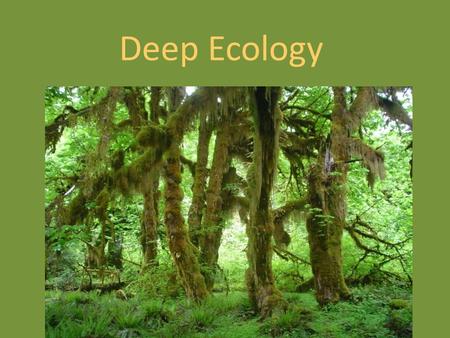 Deep Ecology. Presentations April 10: James, Agnes, Kingyu April 15: Andrew, Tak, Cyril April 17: Dominic, Christina, Sebastian Final Paper: 1 st draft.