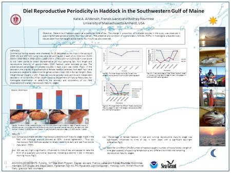 Diel Reproductive Periodicity in Haddock in the Southwestern Gulf of Maine Katie A. Anderson, Francis Juanes and Rodney Rountree University of Massachusetts.