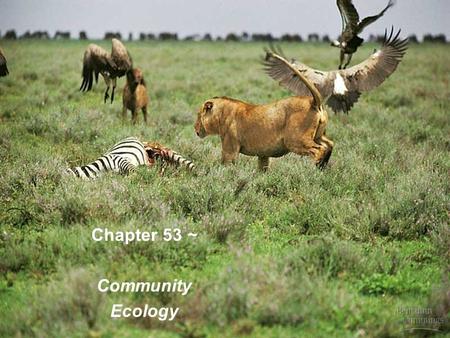 Chapter 53 ~ Community Ecology.