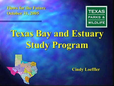 Texas Bay and Estuary Study Program Cindy Loeffler Flows for the Future October 31, 2005.