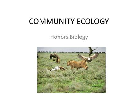 COMMUNITY ECOLOGY Honors Biology.
