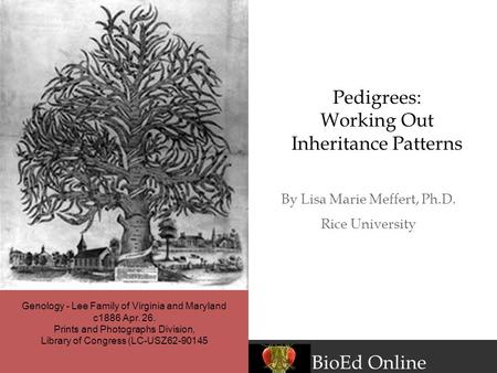 BioEd Online By Lisa Marie Meffert, Ph.D. Rice University Pedigrees: Working Out Inheritance Patterns Genology - Lee Family of Virginia and Maryland c1886.