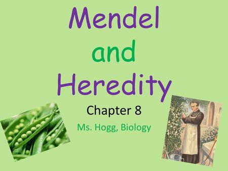 Mendel and Heredity Chapter 8 Ms. Hogg, Biology. The Origins of Genetics Heredity – the passing of characteristics from parent to offspring – Before DNA.