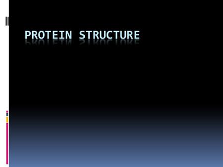 Protein Structure  Primary Structure – The order of amino acids.  Secondary Structure – The coiling or folding of the primary structure. This is facilitated.