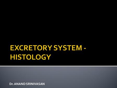 EXCRETORY SYSTEM - HISTOLOGY