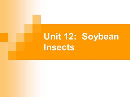 Unit 12: Soybean Insects. Carefully monitor both damaging and beneficial insects through scouting Have knowledge of economic thresholds for insect damage.