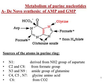 Metabolism of purine nucleotides A- De Novo synthesis: of AMP and GMP Sources of the atoms in purine ring: N1: derived from NH2 group of aspartate C2 and.
